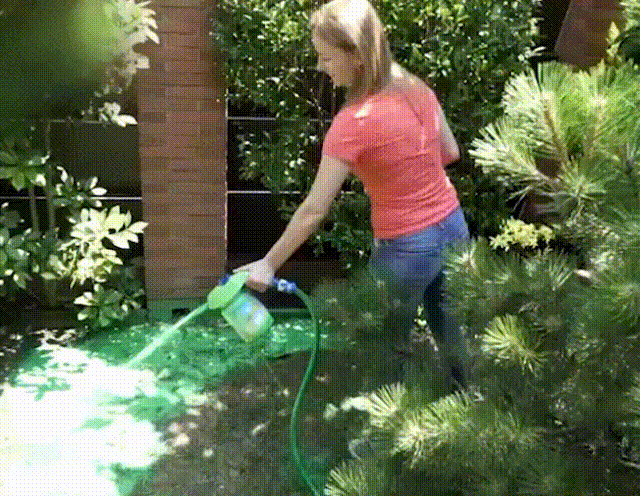 Very effective for yellowing & dormant grass, urine spots and as a dog spot repair, still allowing the existing foliage to grow, will not harm plant or grass at the same time, large lawn coverage as well. Repair and revitalize your lawn with ease, without the hassle and expense of hiring professionals.