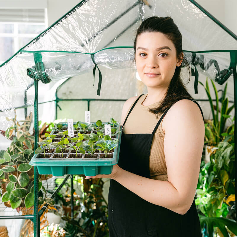 Woman holding a seed tray of young seedlings inside a clear mini greenhouse