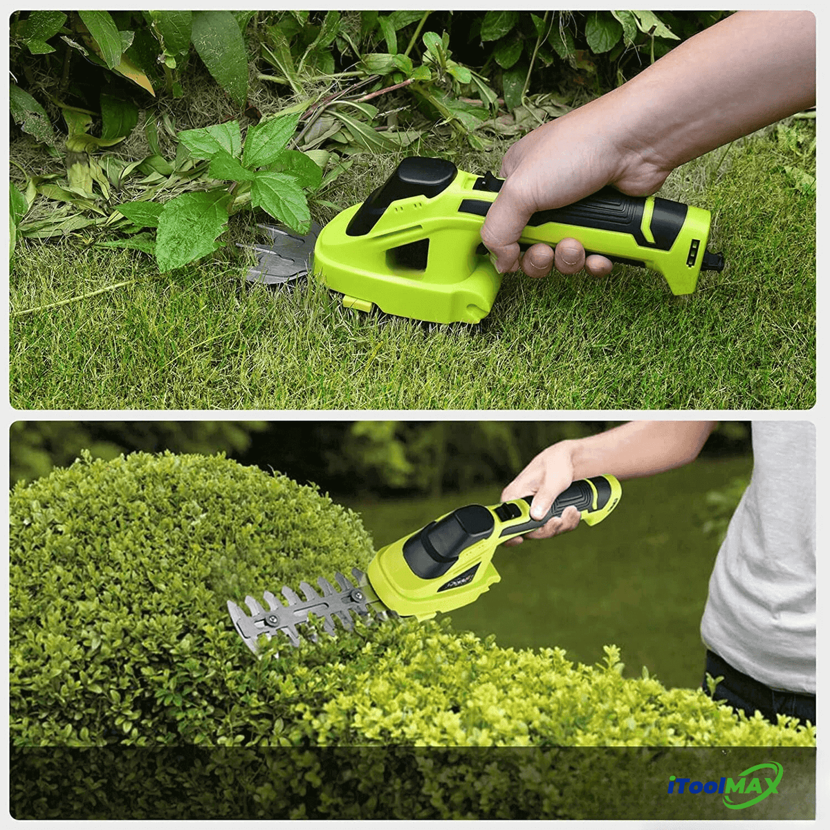 Green cordless shears trimming ground weeds and a rounded boxwood hedge
