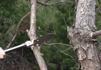 Survival shovel blade with saw teeth cutting through a tree branch in the woods