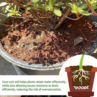 iToolMax Premium Organic Coconut Coir Bricks