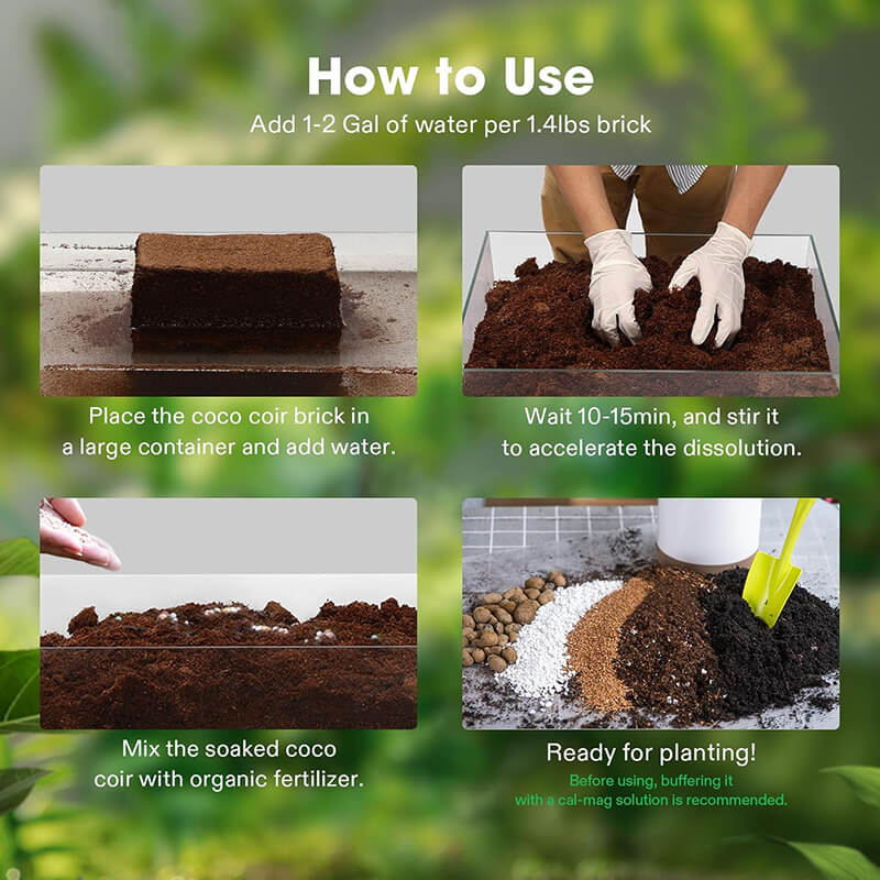 Four-step coir brick guide: add water, wait and stir, mix with fertilizer, then ready for planting