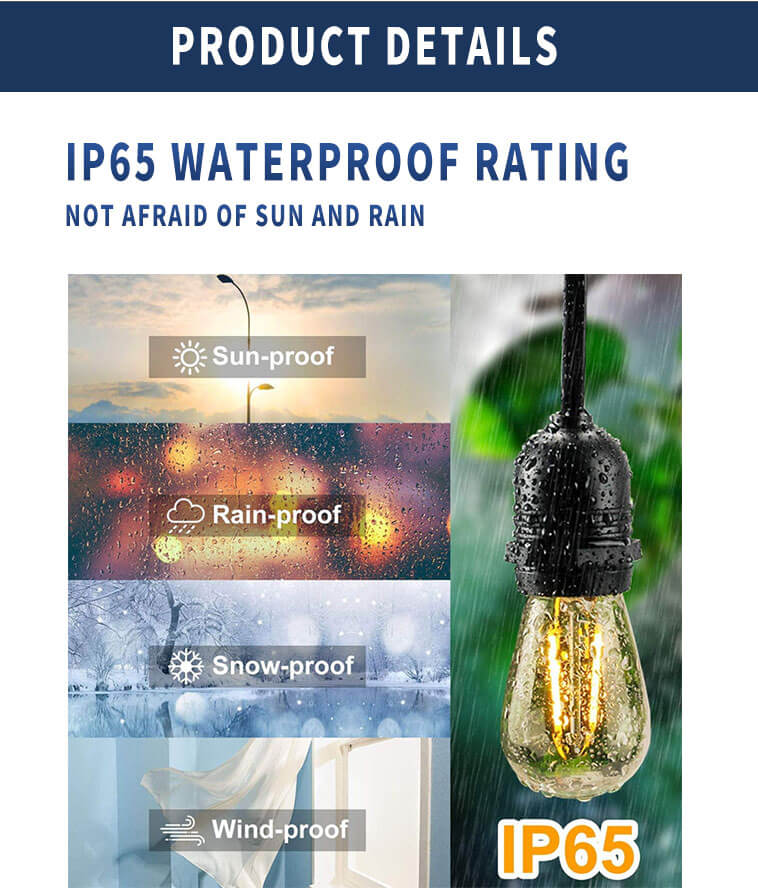 IP65 waterproof rating with sun, rain, snow and wind-proof labels over a bulb in rain