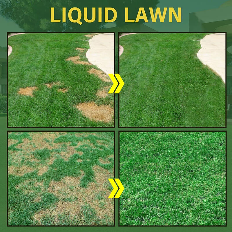 Traditional seeding is time-consuming, but Liquid Seeding Grass Lawn Green Spray System simplifies it by combining seed in an easy-to-spray mix, making lawn care easier and faster. It increases soil water absorption by 40%, retaining moisture longer, while improving soil quality and reducing soil erosion, aiding grass seed growth for fast getting more lush lawn.