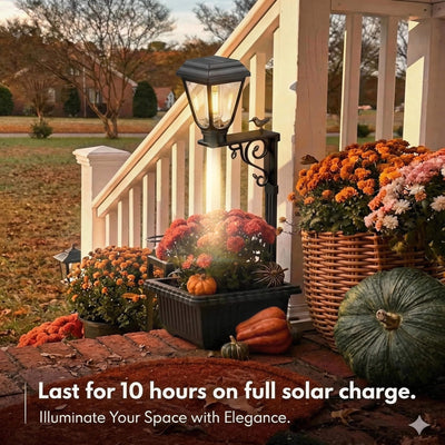 itoolmax solar light planter pot up to 10 hours use