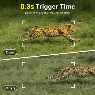cellular trail camera 0.3s trigger time  itoolmax